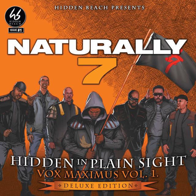 Album cover art for Hidden in Plain Sigh