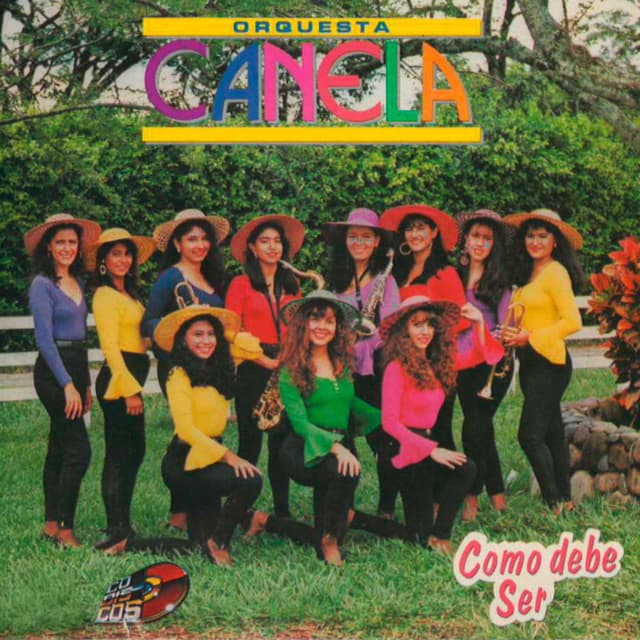 Album cover art for Como debe ser