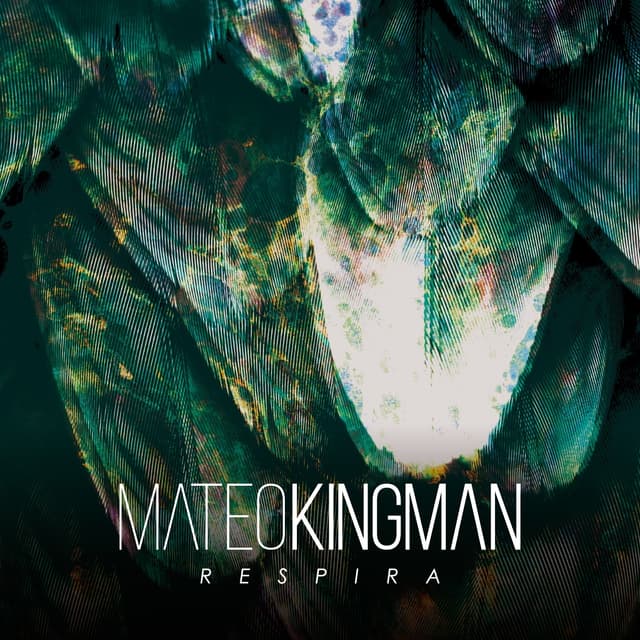 Album cover art for Respira