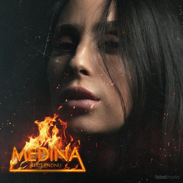 Album cover art for Lidt Endnu