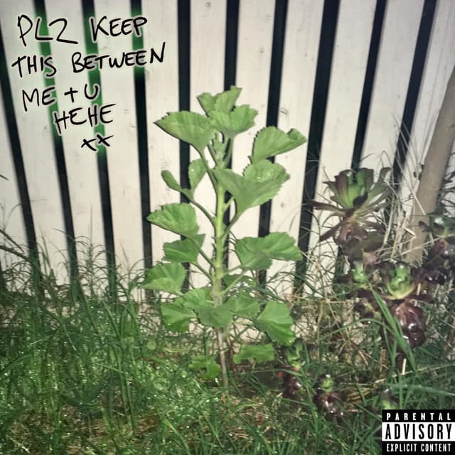 Album cover art for plz keep this between me + u hehe xx