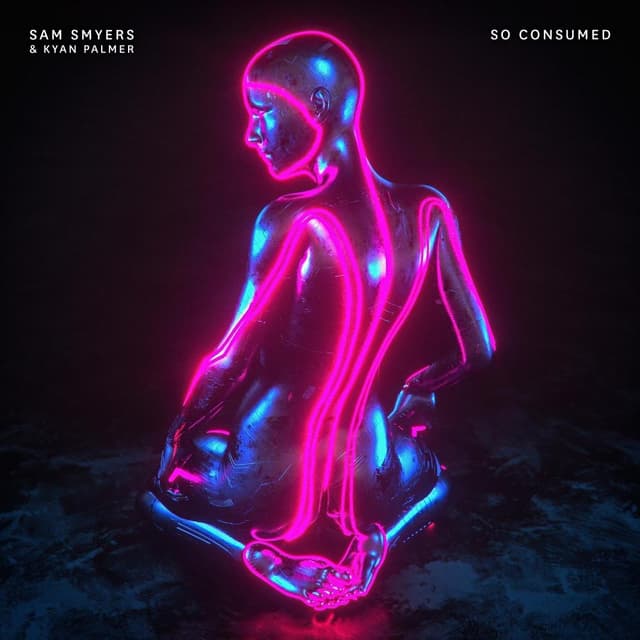 Album cover art for So Consumed