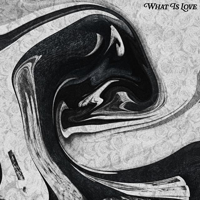 Album cover art for WHAT IS LOVE