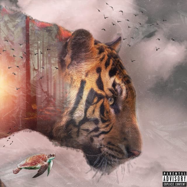 Album cover art for Desde Que Te Toco