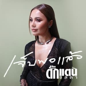 Album cover art for เจ็บพอแล้ว