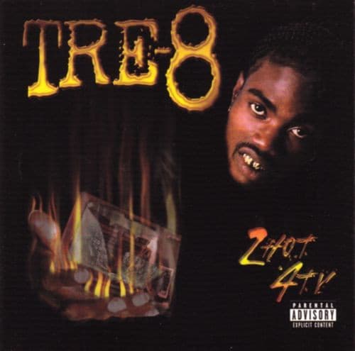 Album cover art for 2 Hot 4 TV