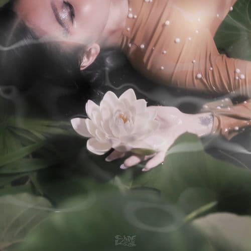 Album cover art for Wildest Dreams
