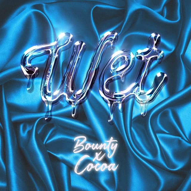 Album cover art for WET