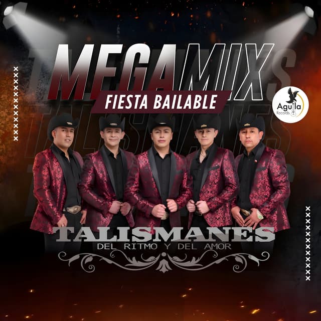 Album cover art for MEGAMIX FIESTA BAILABLE