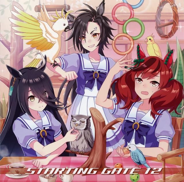 Album cover art for ウマ娘 プリティーダービー STARTING GATE 12