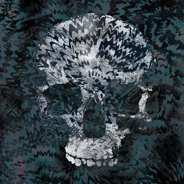 Album cover art for Amnesia