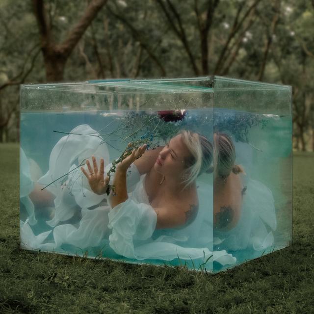 Album cover art for serotonin & forget me nots