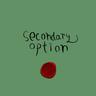 secondary option