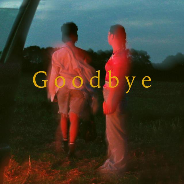 Album cover art for Goodbye