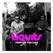 Album cover art for Perfume Pantera