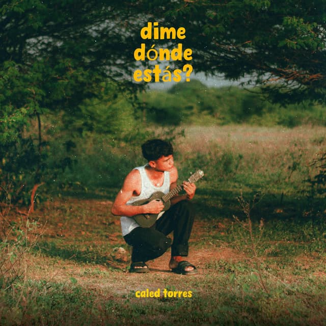 Album cover art for Dime dónde estás?