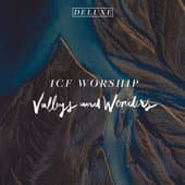 Album cover art for Valleys and Wonders