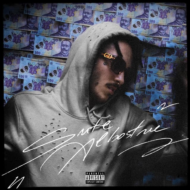 Album cover art for Sute Albastre