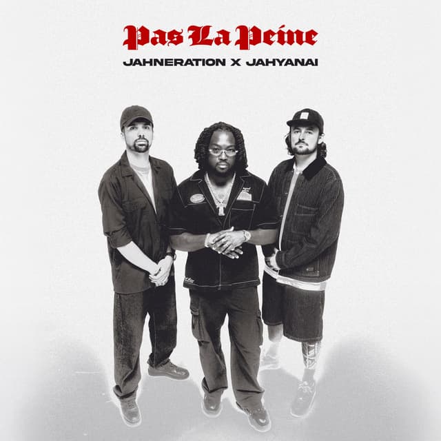 Album cover art for Pas la peine