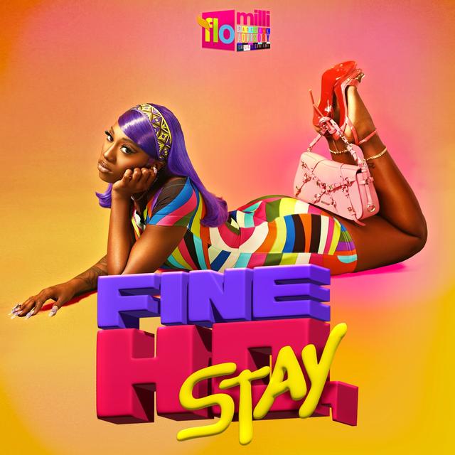 Album cover art for Fine Ho, Stay