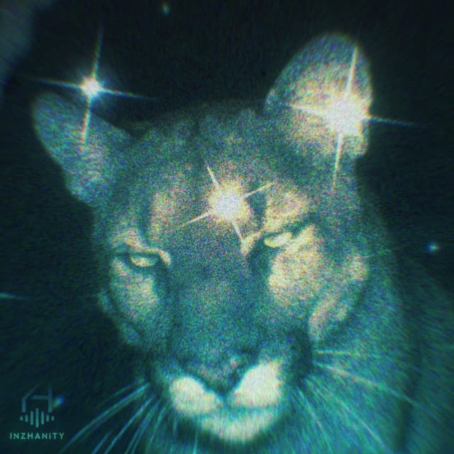 Album cover art for STEAL MY HEART