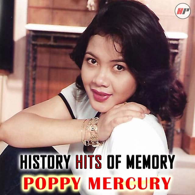Album cover art for History Hits Of Memory