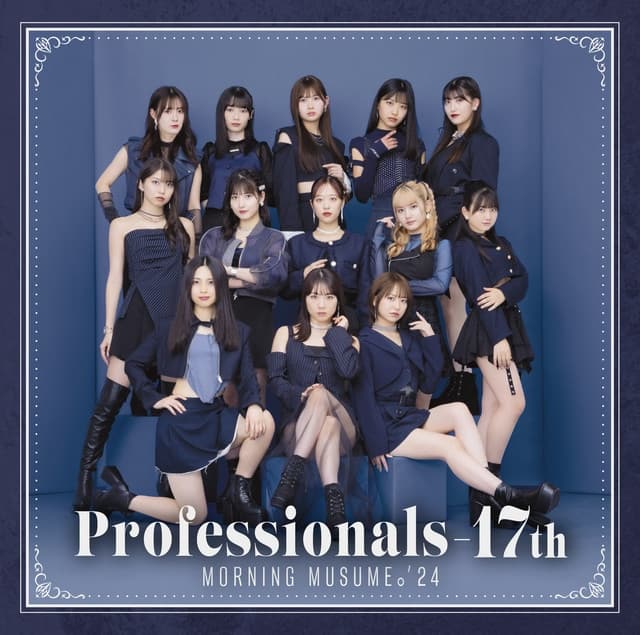 Album cover art for Professionals-17th