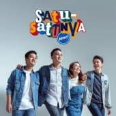 Album cover art for Satu-Satunya