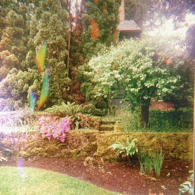 Album cover art for I Can See You in Everything