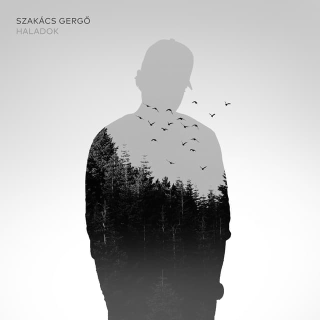 Album cover art for Haladok
