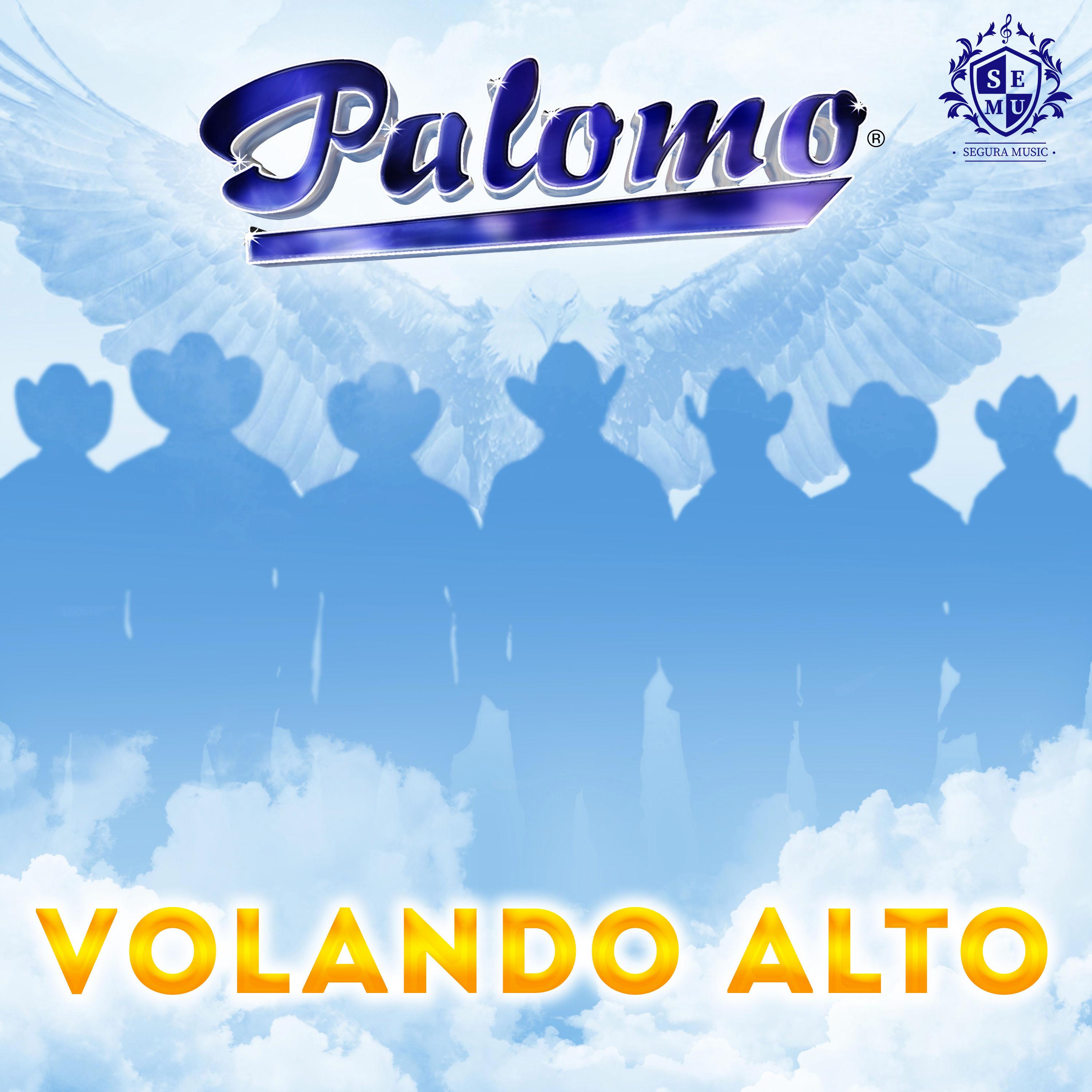 Volando Alto