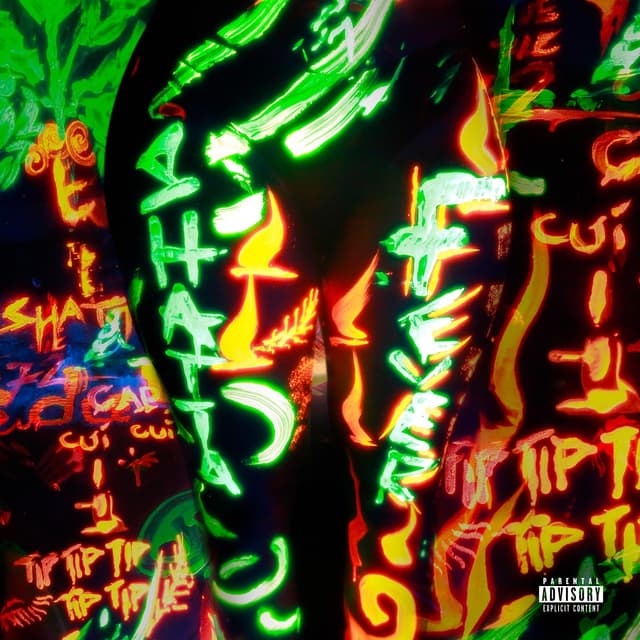 Album cover art for Shatta Fever