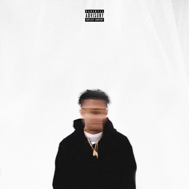 Album cover art for Undisclosed Notions