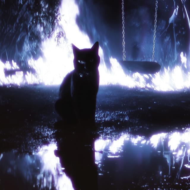 Album cover art for MI GATA