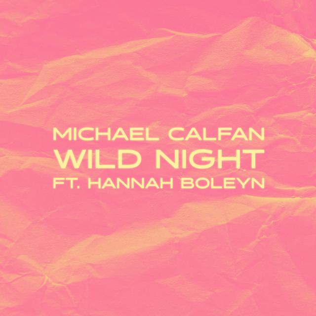Album cover art for Wild Night