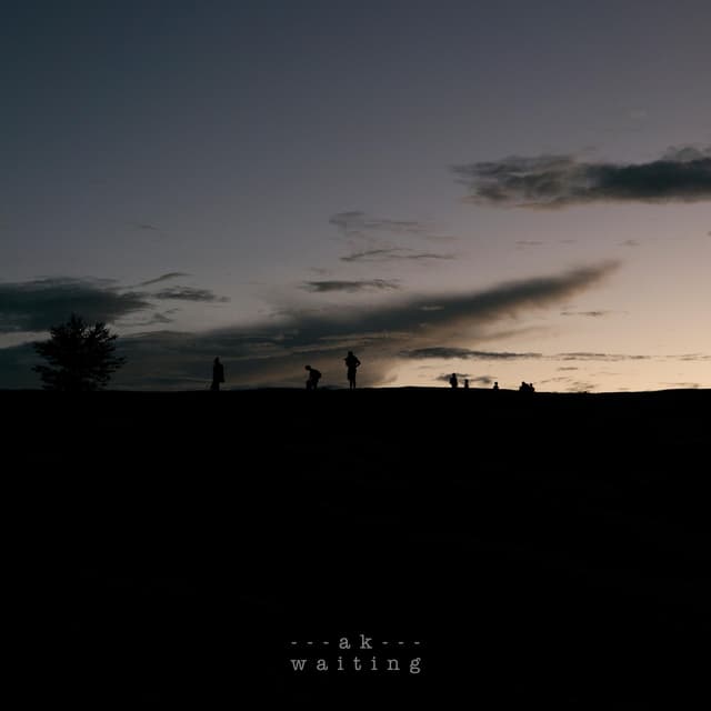 Album cover art for Waiting