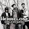 Svelg en kamel