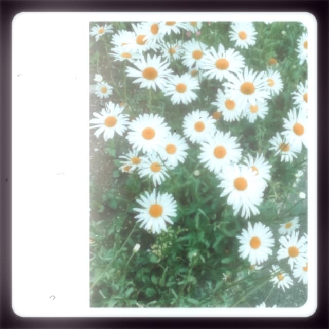 Album cover art for おひつじ座