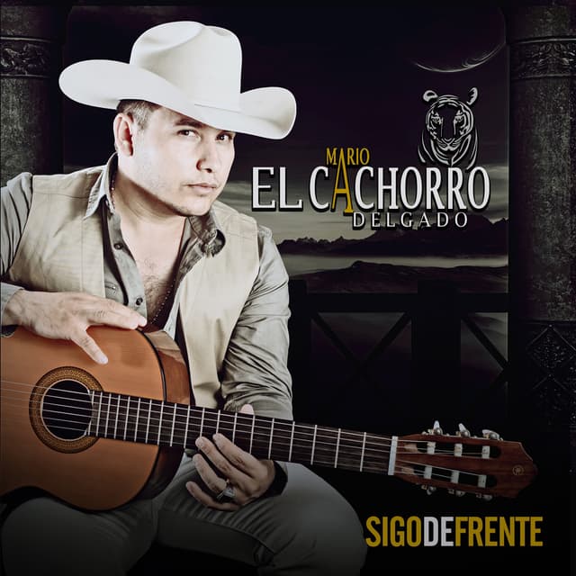 Album cover art for Sigo de frente