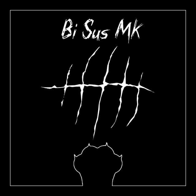 Album cover art for Bi Sus Mk