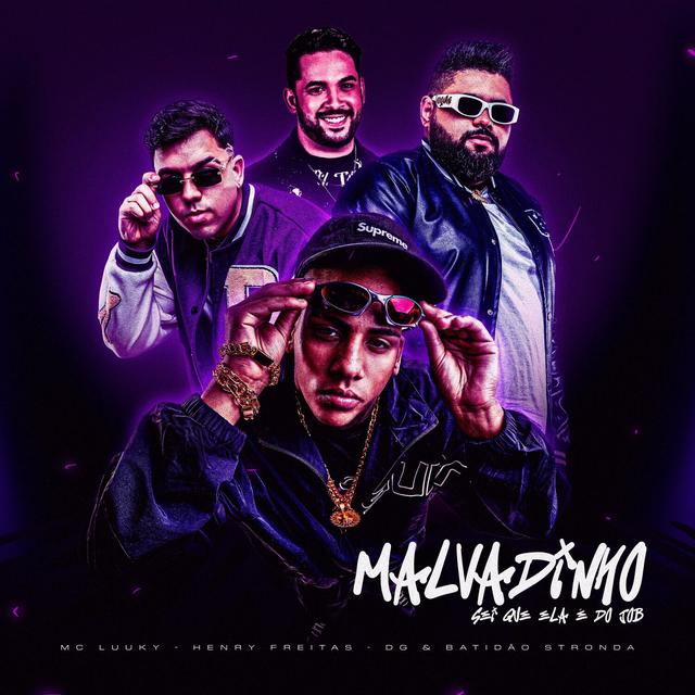 Album cover art for Malvadinho (Sei Que Ela é do Job)