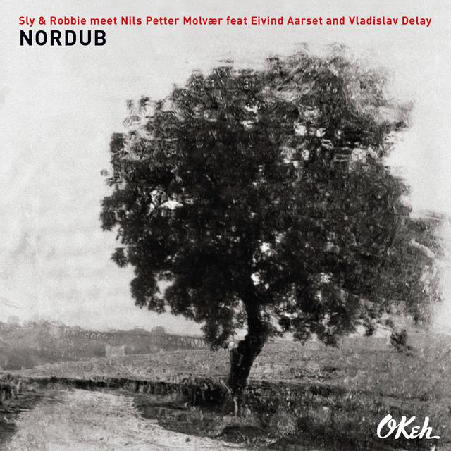Album cover art for Nordub