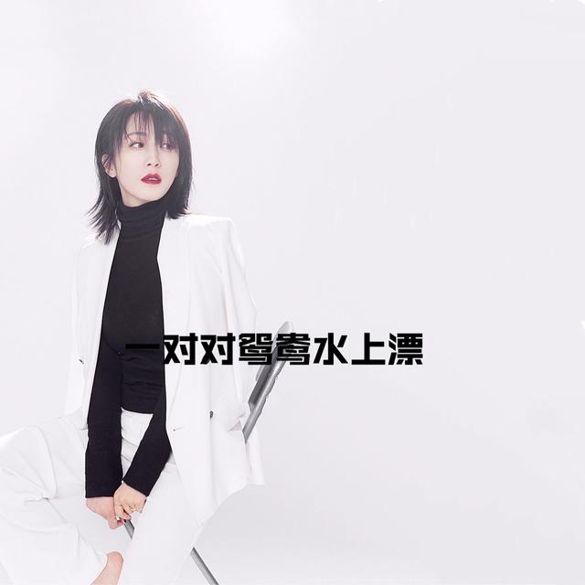 Album cover art for 一对对鸳鸯水上漂