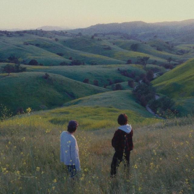 Album cover art for How Long, How Low?