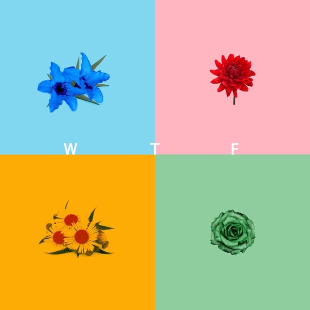Album cover art for W T F