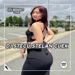 Album cover art for DJ Stecu Stecu Trend Velocity