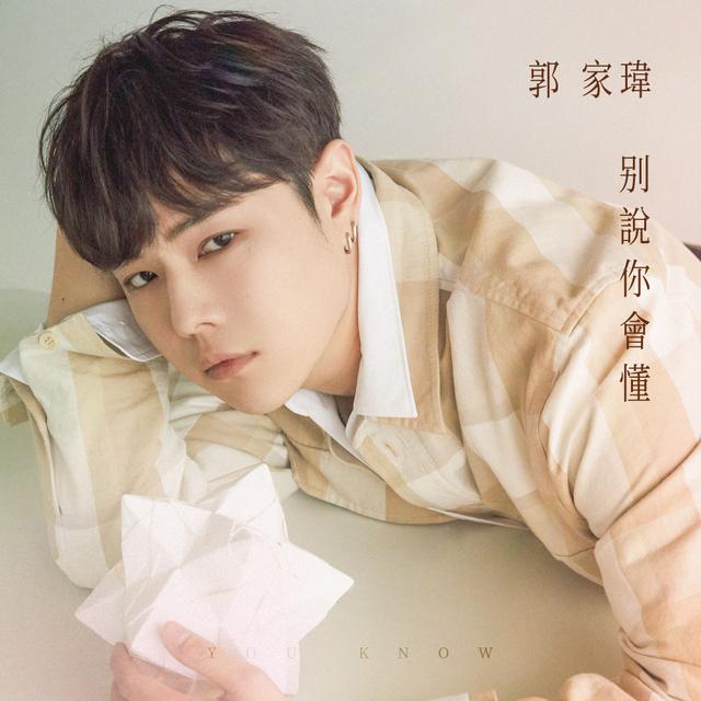 Album cover art for 別說你會懂
