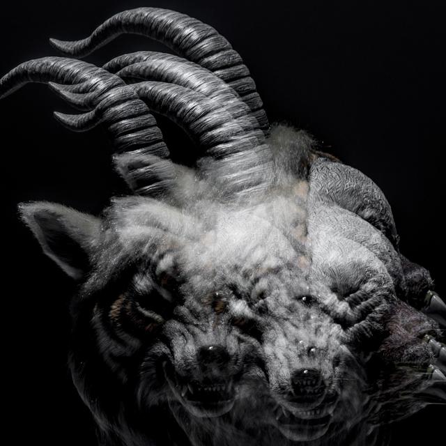 Album cover art for Beautiful Deformity
