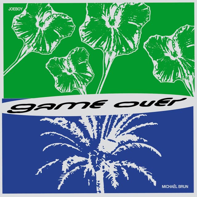 Album cover art for Game Over