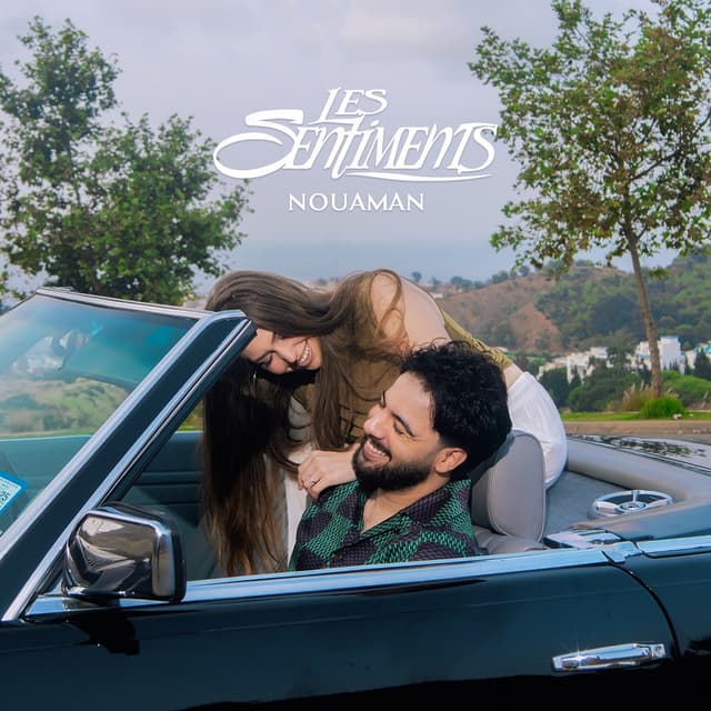 Album cover art for Les Sentiments